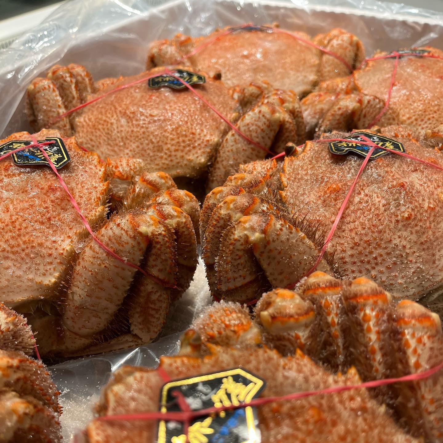 新鮮な魚介類